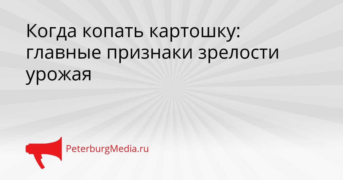 Когда копать картошку: главные признаки зрелости урожая