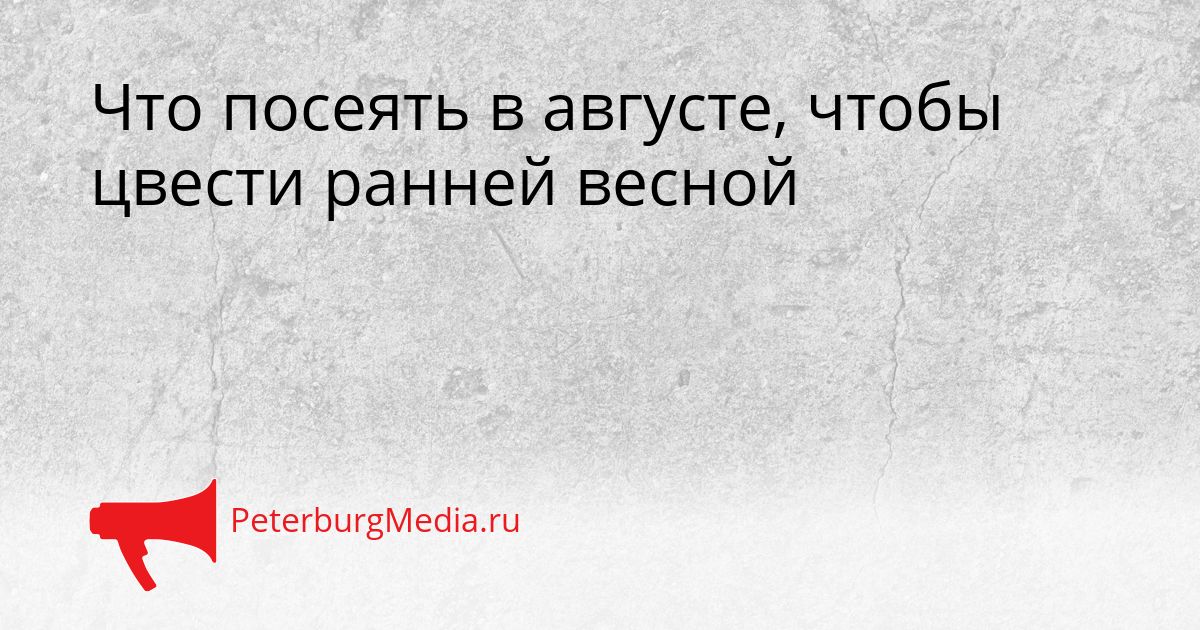 Что посеять в августе, чтобы цвести ранней весной