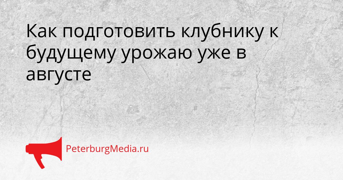 Как подготовить клубнику к будущему урожаю уже в августе