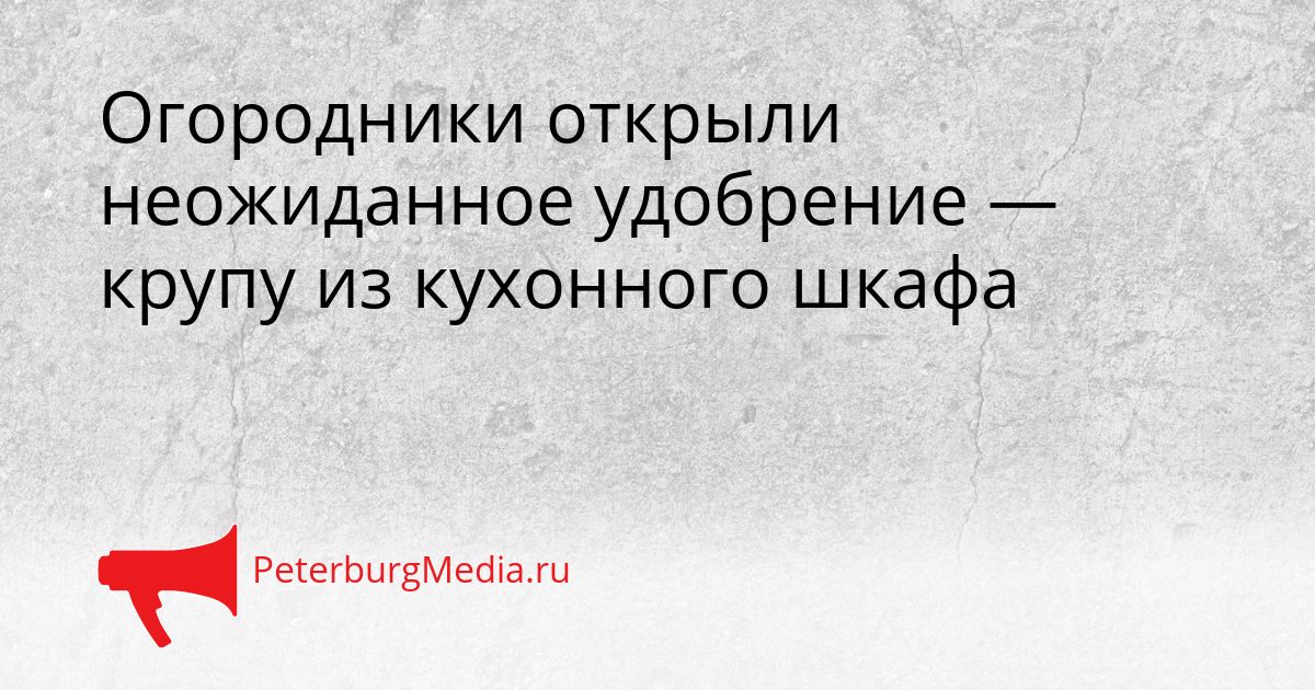 Огородники открыли неожиданное удобрение — крупу из кухонного шкафа
