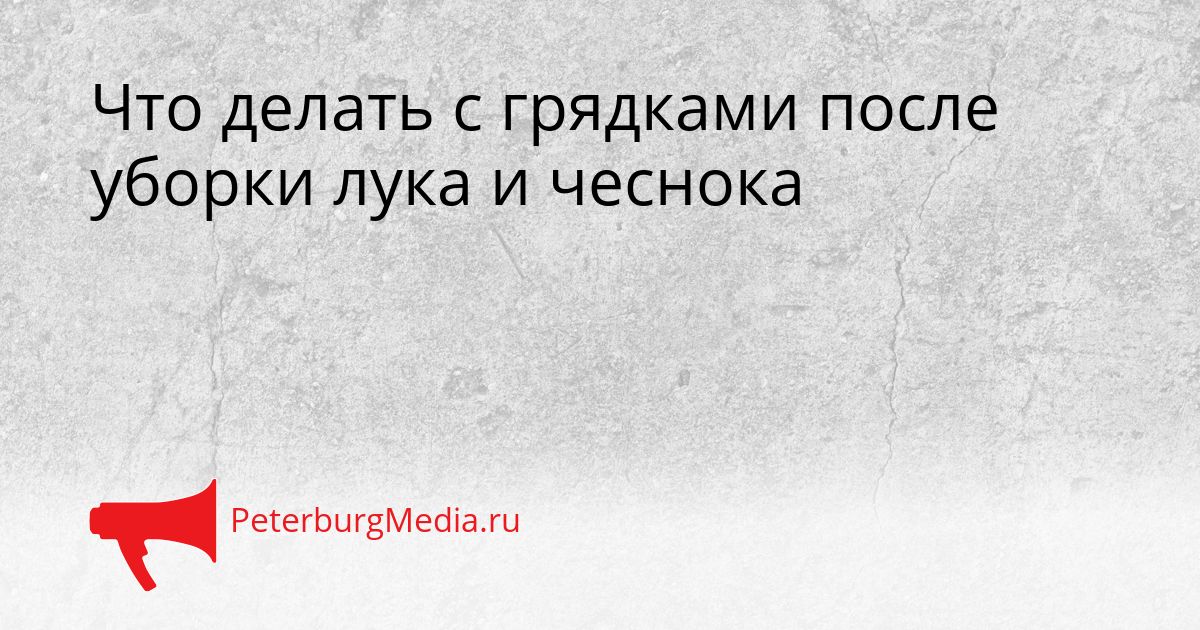 Что делать с грядками после уборки лука и чеснока