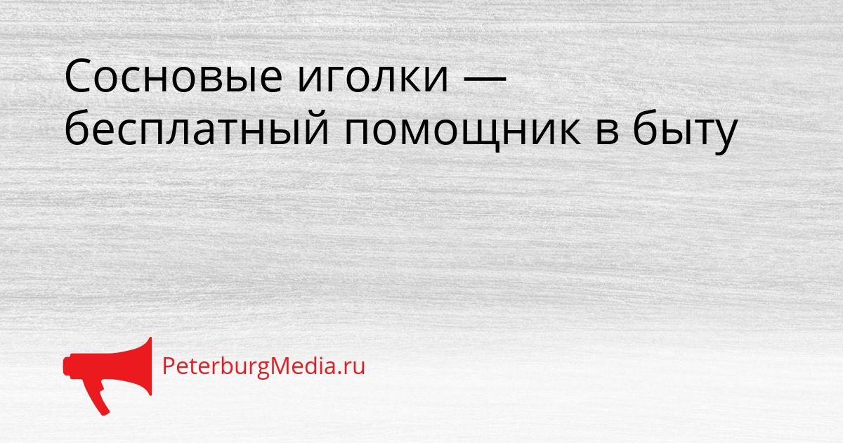 Сосновые иголки — бесплатный помощник в быту