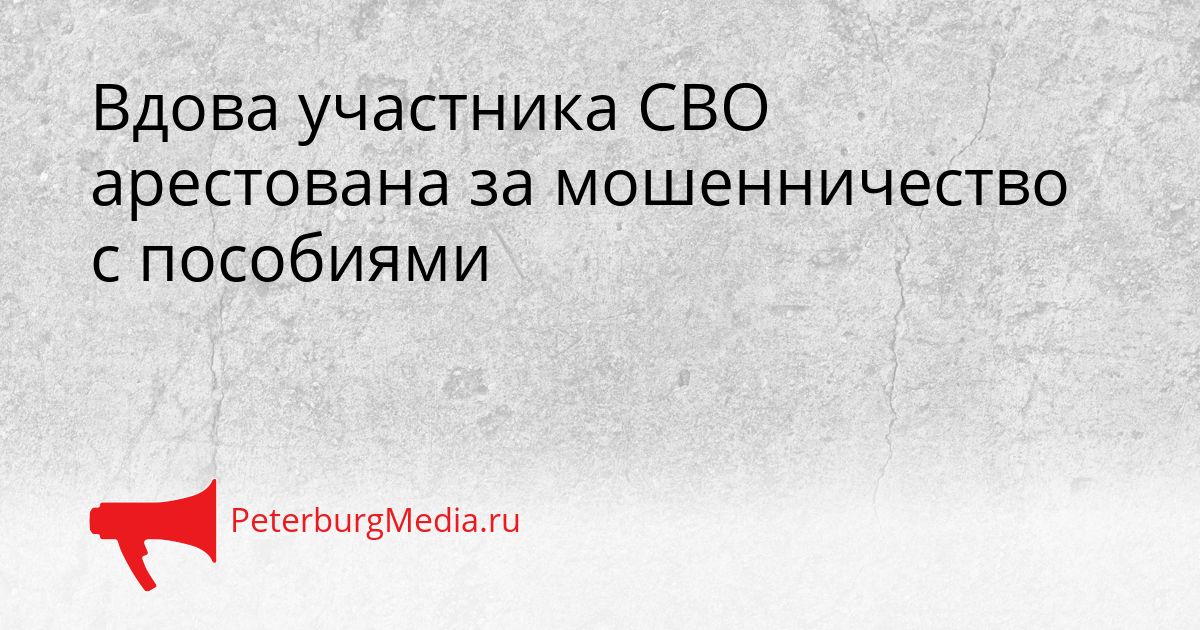 Вдова участника СВО арестована за мошенничество с пособиями
