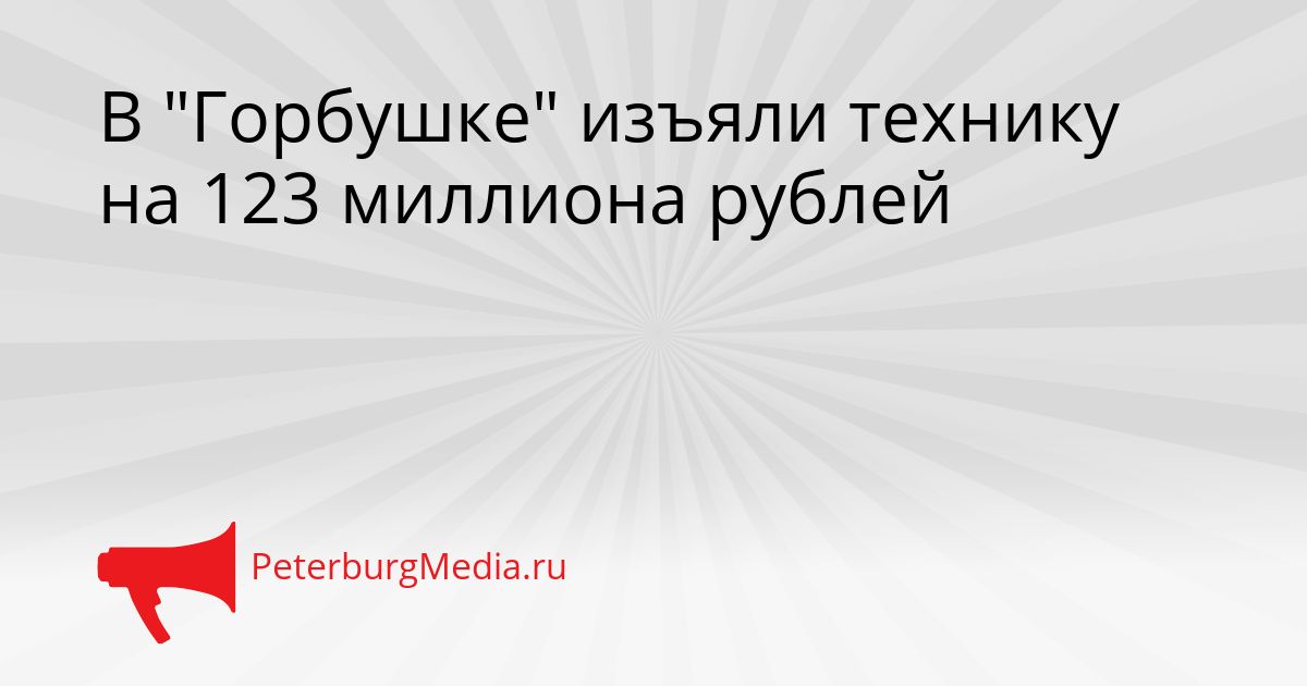 В "Горбушке" изъяли технику на 123 миллиона рублей