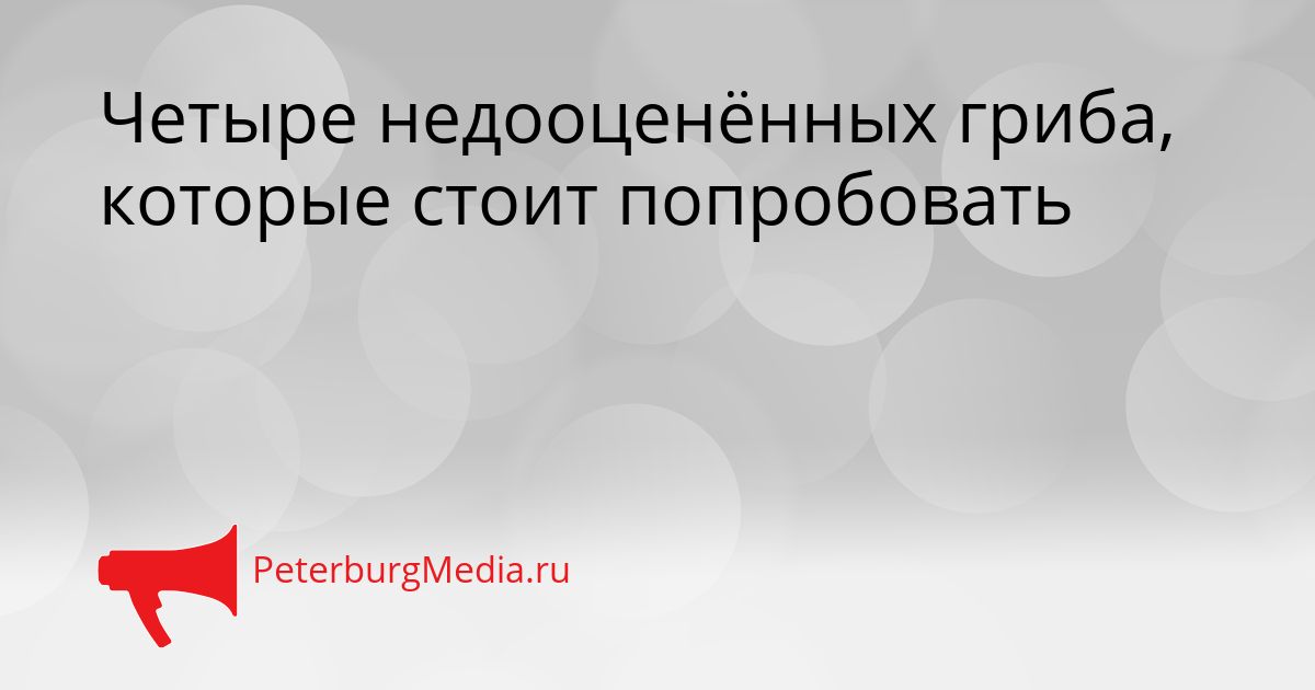 Четыре недооценённых гриба, которые стоит попробовать