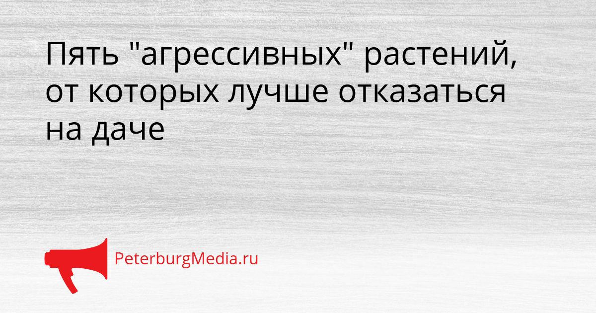 Пять "агрессивных" растений, от которых лучше отказаться на даче