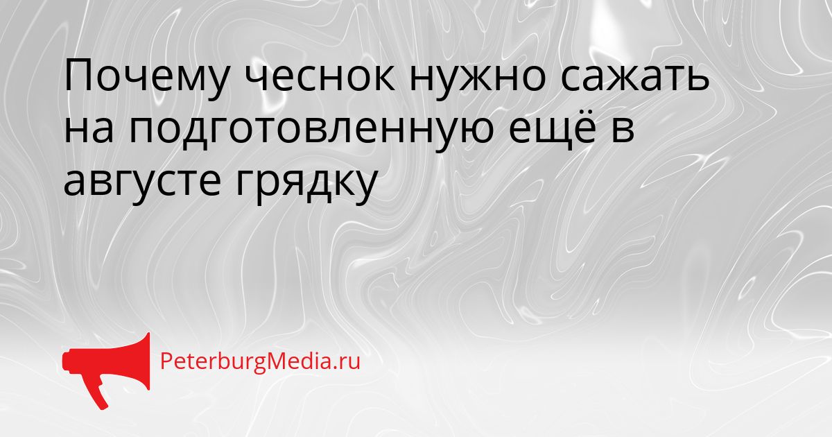 Почему чеснок нужно сажать на подготовленную ещё в августе грядку