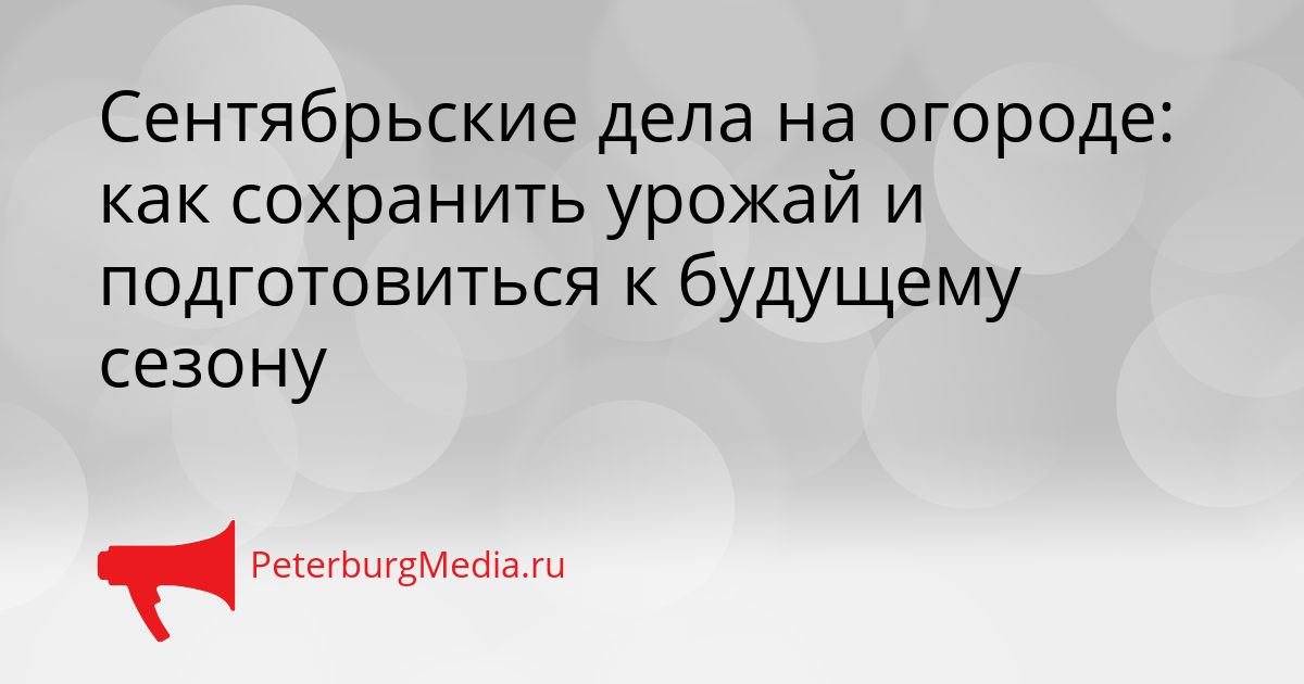 Сентябрьские дела на огороде: как сохранить урожай и подготовиться к будущему сезону