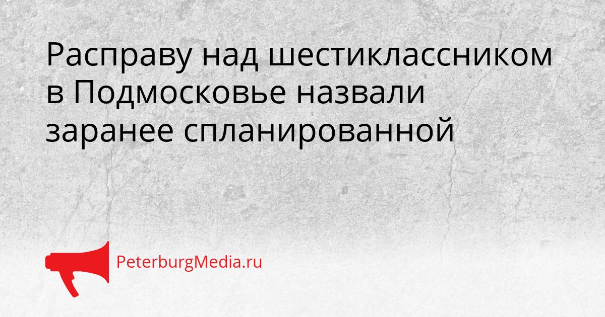 Расправу над шестиклассником в Подмосковье назвали заранее спланированной