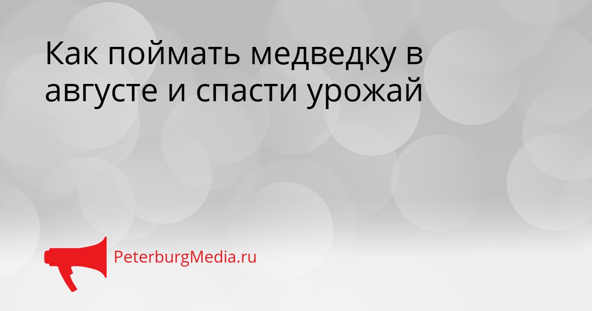 Как поймать медведку в августе и спасти урожай