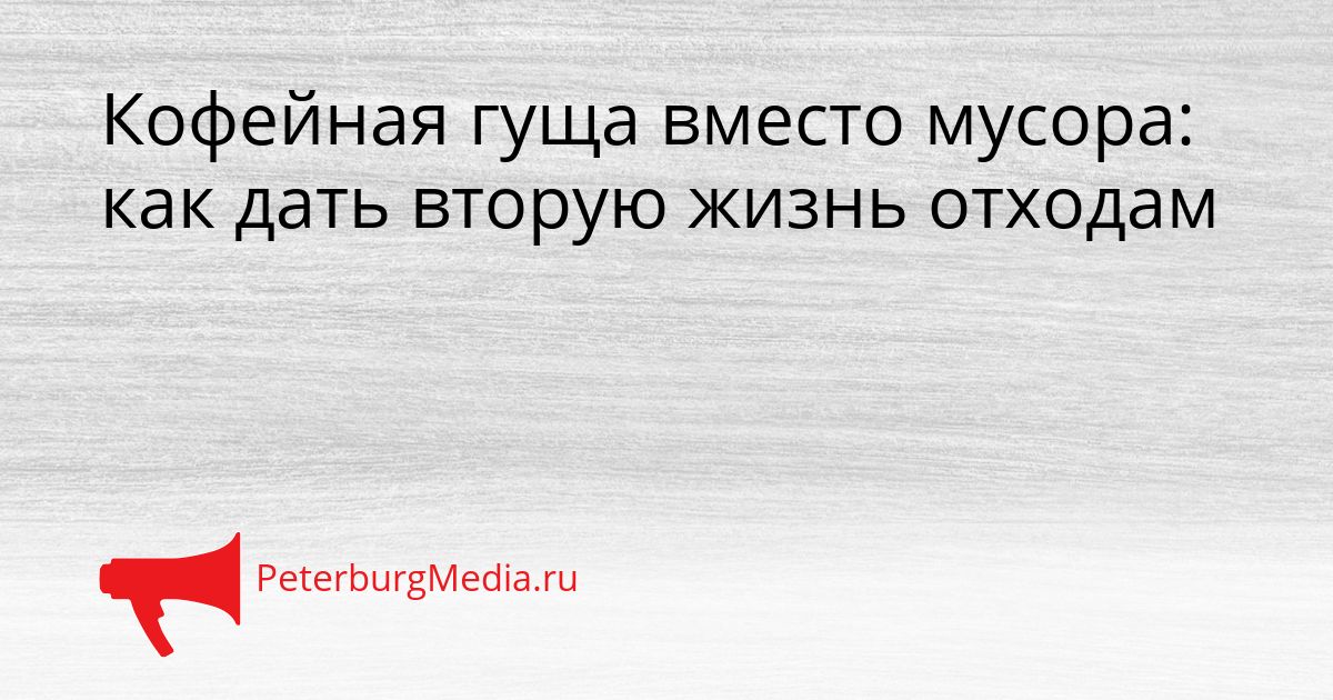 Кофейная гуща вместо мусора: как дать вторую жизнь отходам
