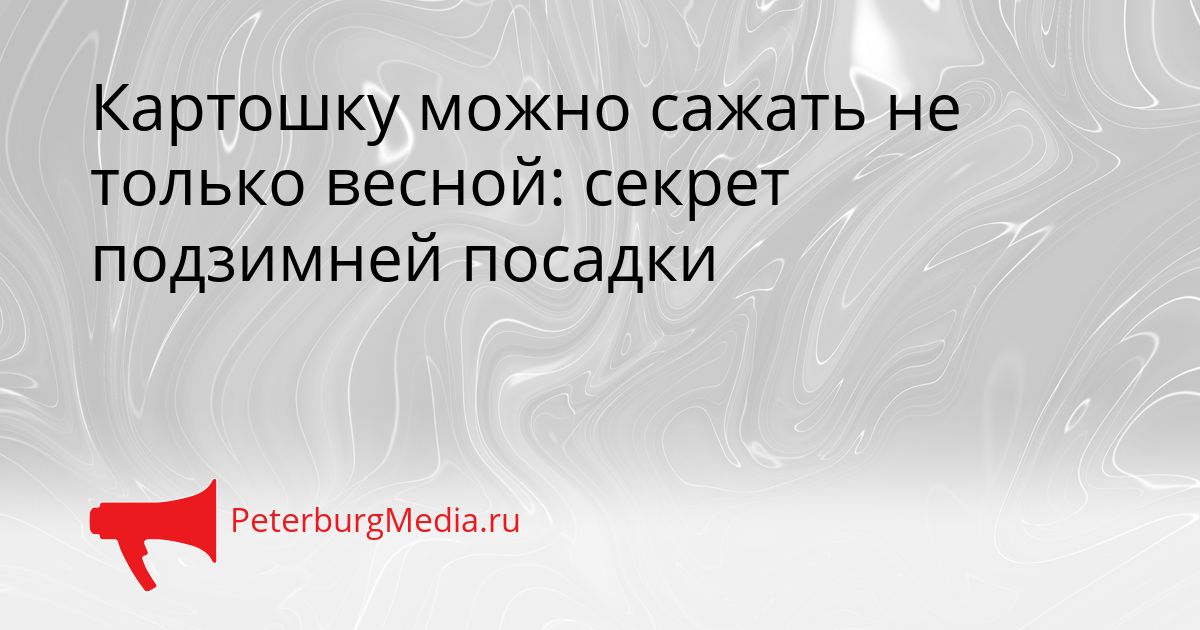 Картошку можно сажать не только весной: секрет подзимней посадки