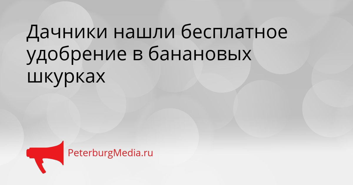 Дачники нашли бесплатное удобрение в банановых шкурках