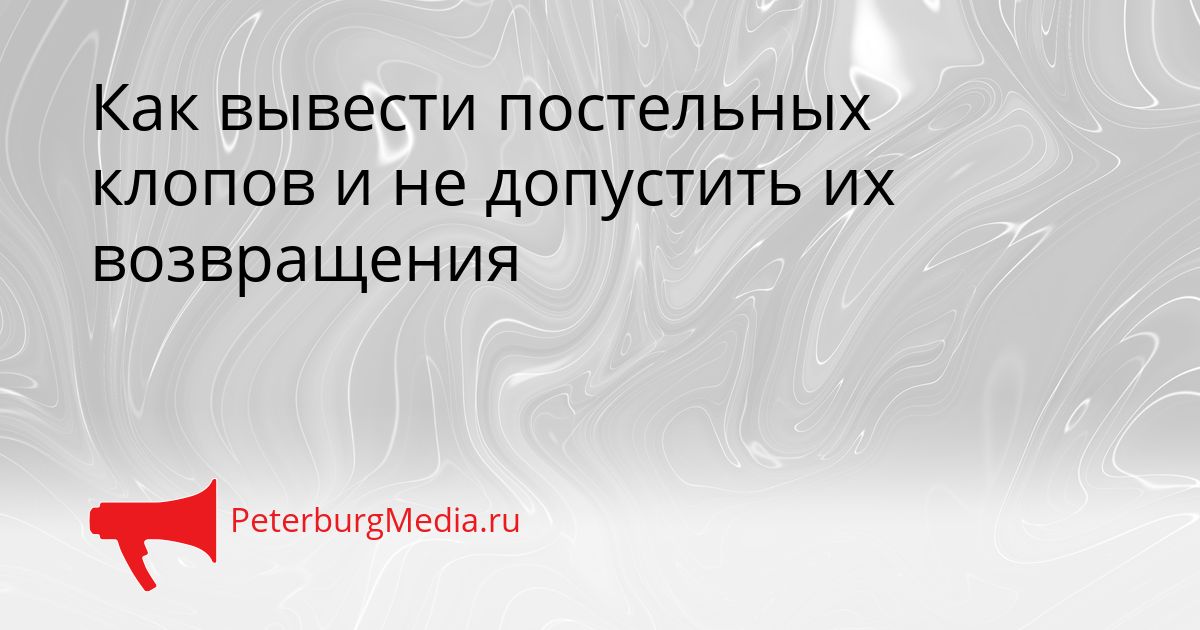 Как вывести постельных клопов и не допустить их возвращения