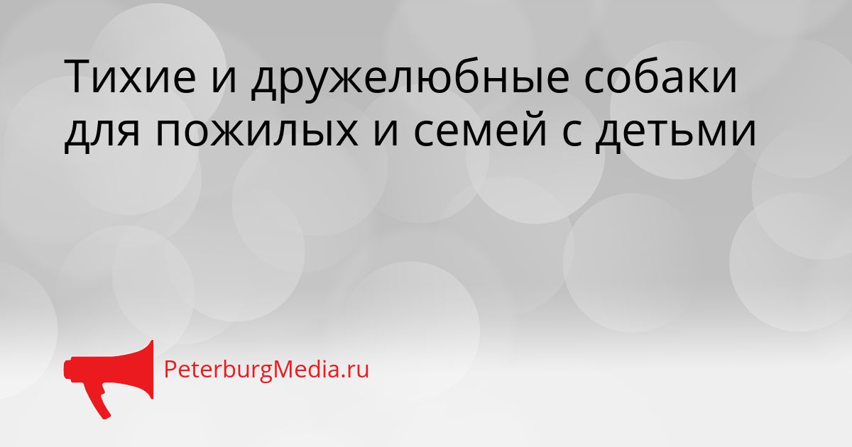 Тихие и дружелюбные собаки для пожилых и семей с детьми