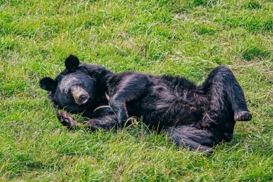 Тематическое фото Мария Смитюк, ИА PrimaMedia