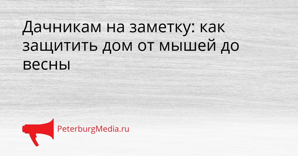 Дачникам на заметку: как защитить дом от мышей до весны