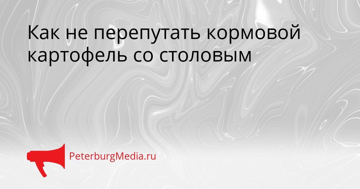 Как не перепутать кормовой картофель со столовым
