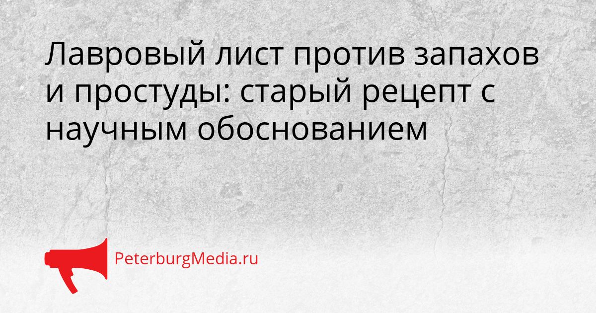Лавровый лист против запахов и простуды: старый рецепт с научным обоснованием