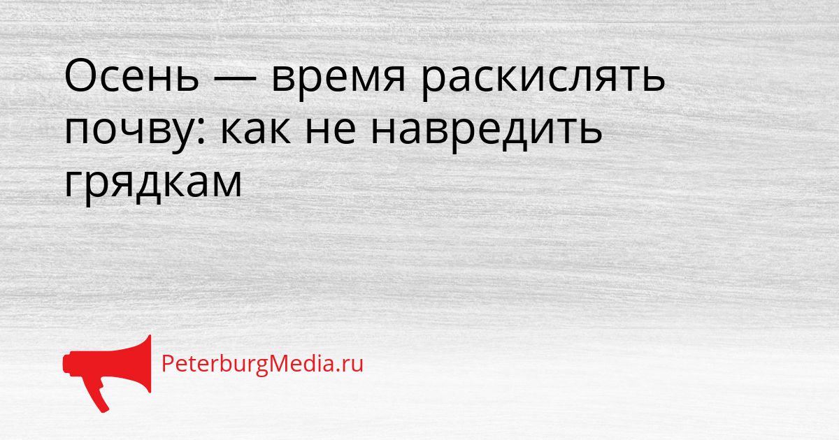 Осень — время раскислять почву: как не навредить грядкам