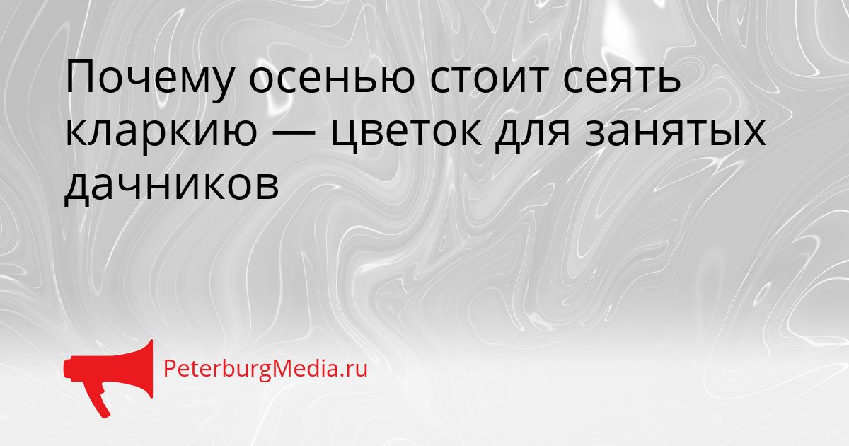 Почему осенью стоит сеять кларкию — цветок для занятых дачников