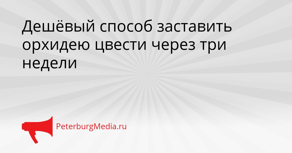 Дешёвый способ заставить орхидею цвести через три недели