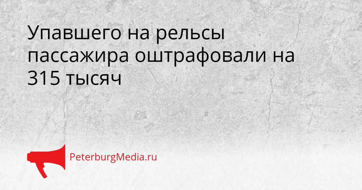 Упавшего на рельсы пассажира оштрафовали на 315 тысяч