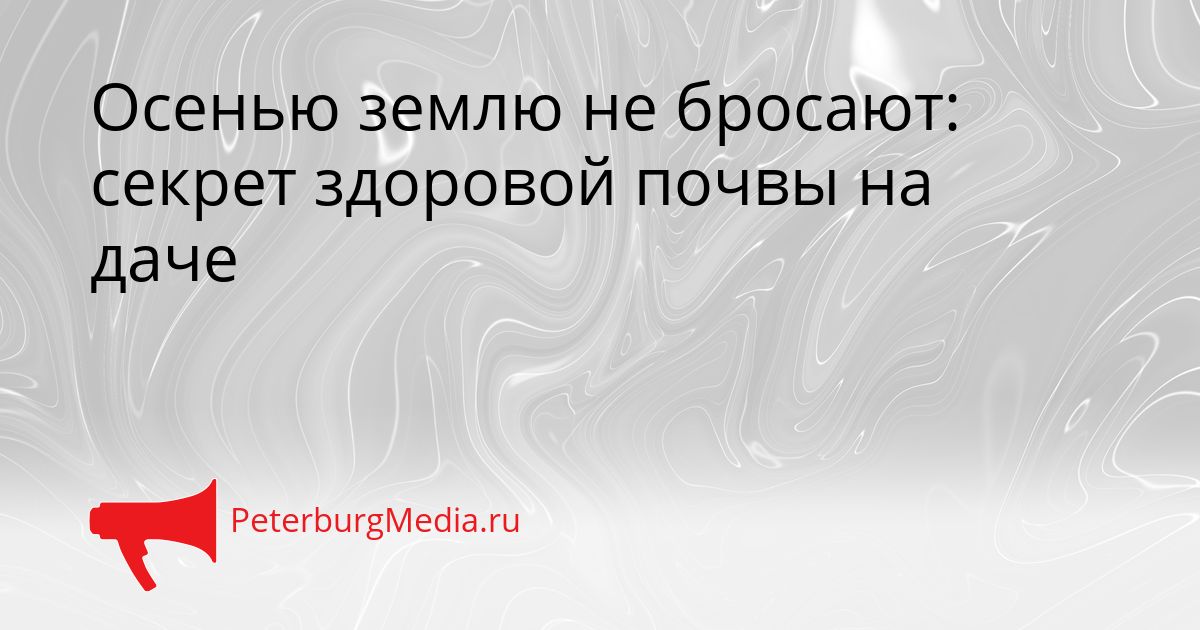 Осенью землю не бросают: секрет здоровой почвы на даче