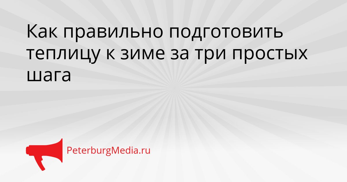 Как правильно подготовить теплицу к зиме за три простых шага