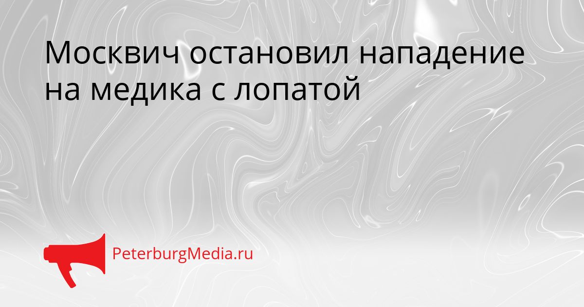 Москвич остановил нападение на медика с лопатой