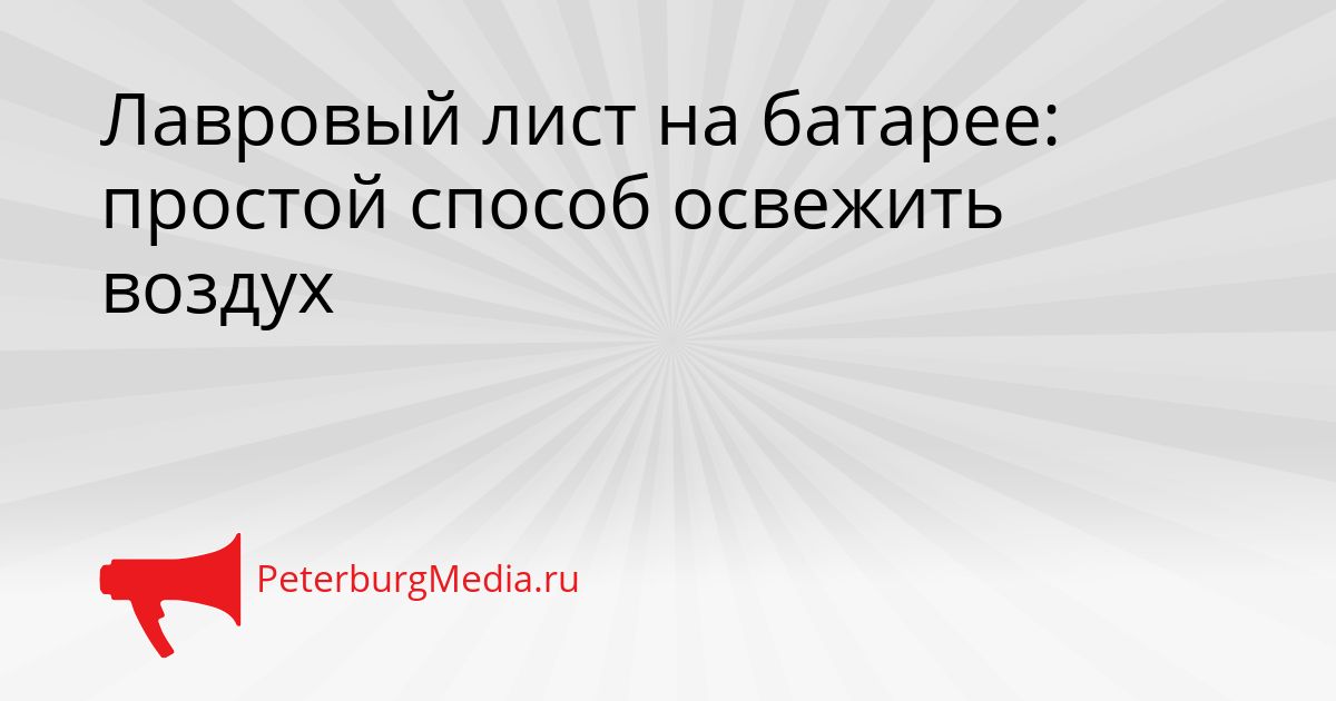 Лавровый лист на батарее: простой способ освежить воздух