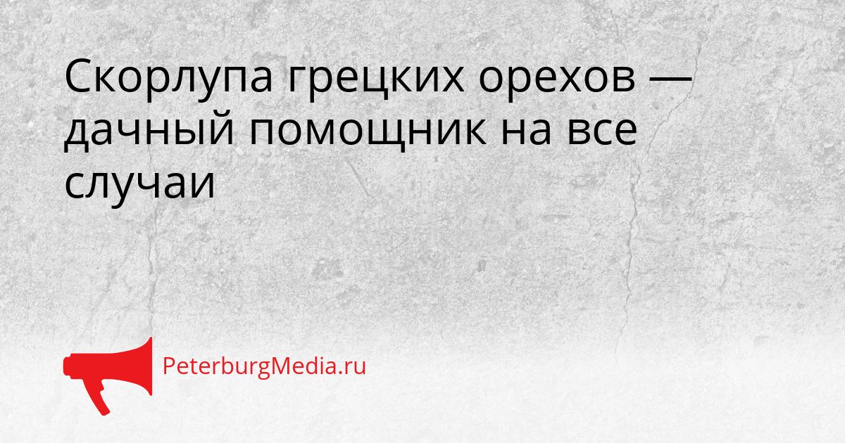 Скорлупа грецких орехов — дачный помощник на все случаи