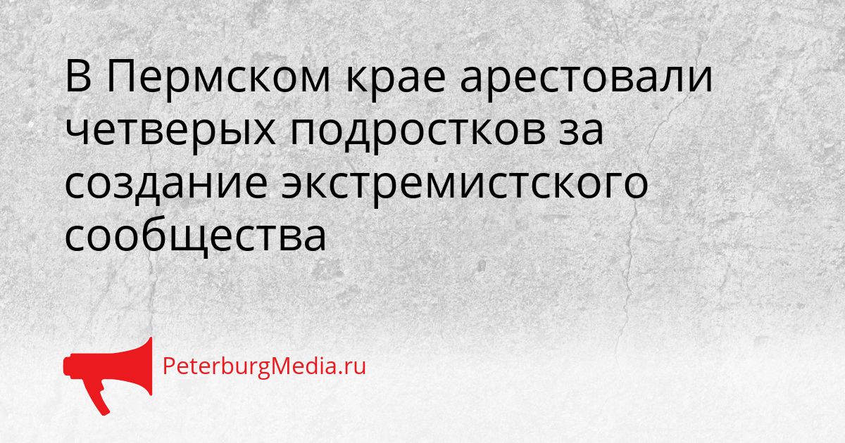 В Пермском крае арестовали четверых подростков за создание экстремистского сообщества