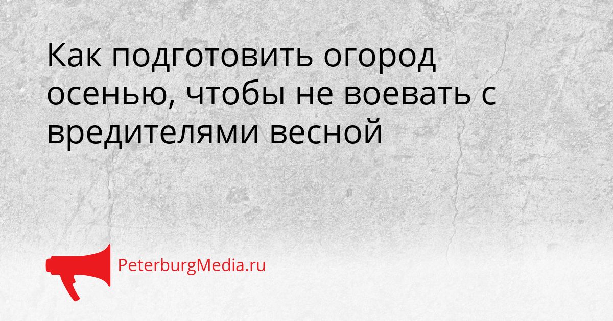 Как подготовить огород осенью, чтобы не воевать с вредителями весной