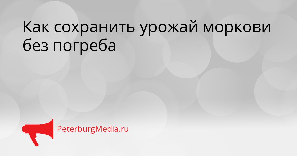 Как сохранить урожай моркови без погреба