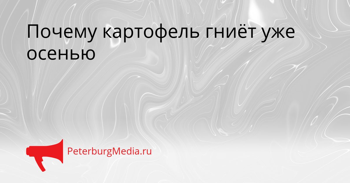 Почему картофель гниёт уже осенью