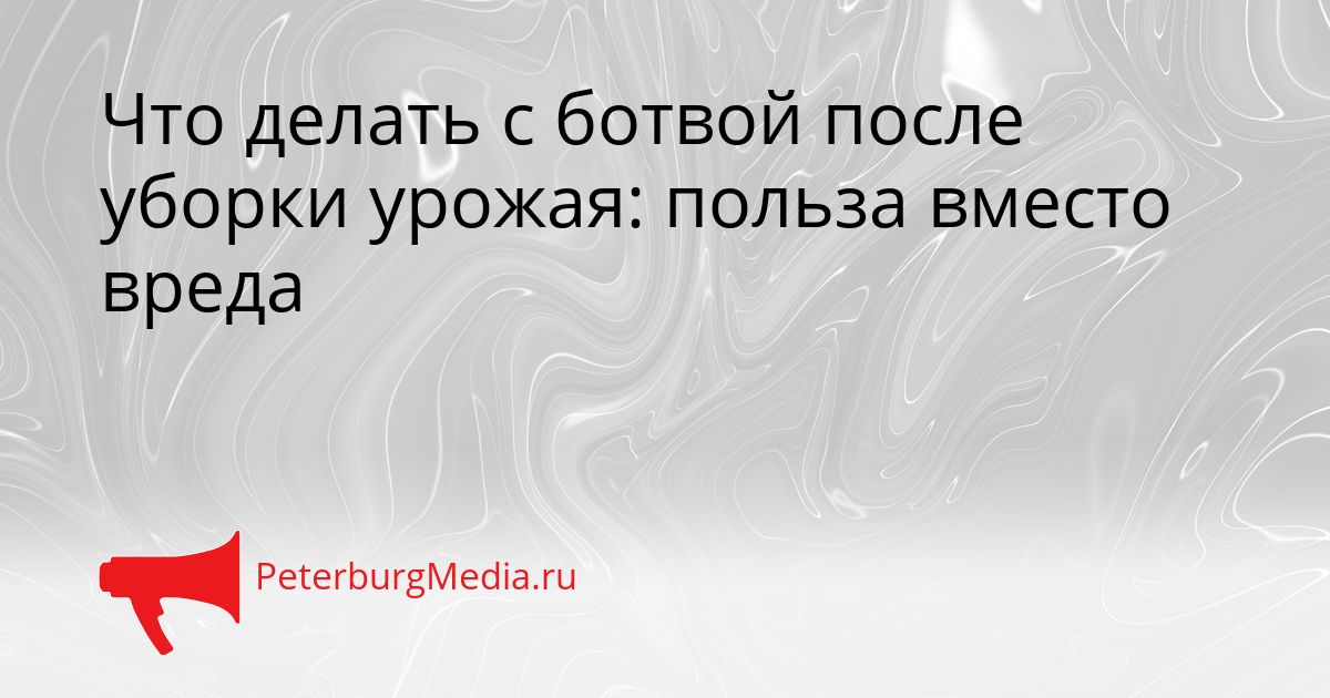 Что делать с ботвой после уборки урожая: польза вместо вреда