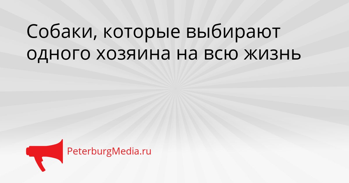 Собаки, которые выбирают одного хозяина на всю жизнь