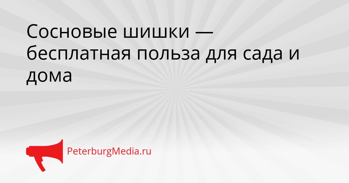 Сосновые шишки — бесплатная польза для сада и дома