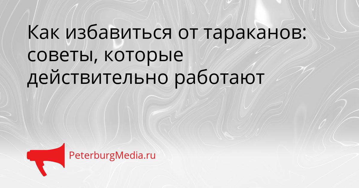 Как избавиться от тараканов: советы, которые действительно работают