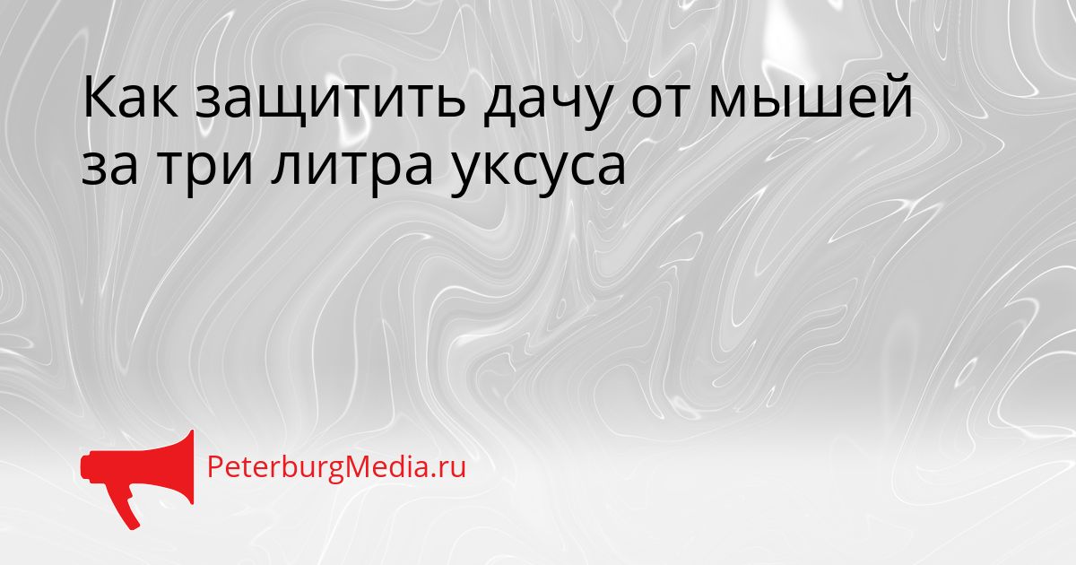 Как защитить дачу от мышей за три литра уксуса