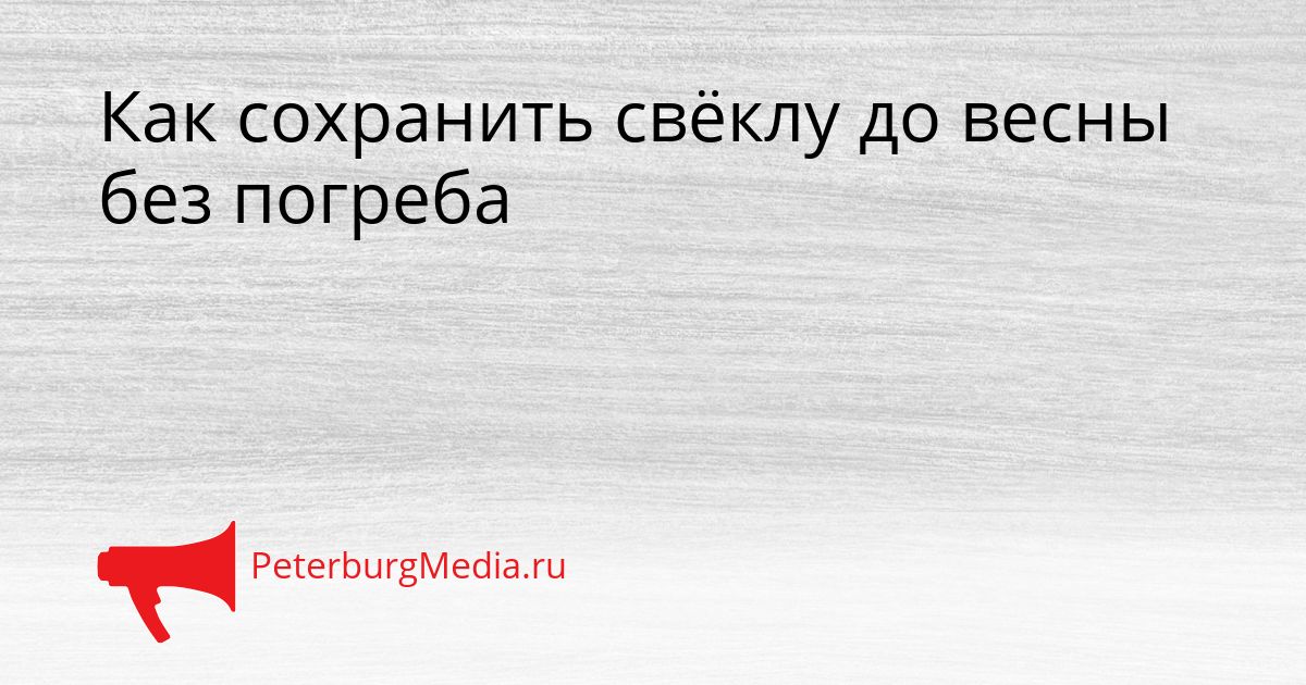 Как сохранить свёклу до весны без погреба
