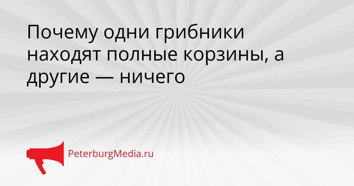 Почему одни грибники находят полные корзины, а другие — ничего