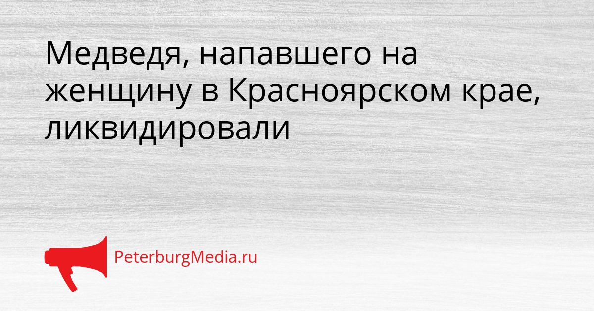 Медведя, напавшего на женщину в Красноярском крае, ликвидировали