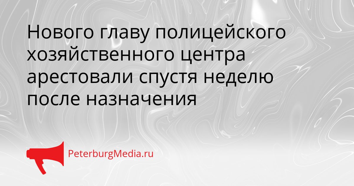 Нового главу полицейского хозяйственного центра арестовали спустя неделю после назначения