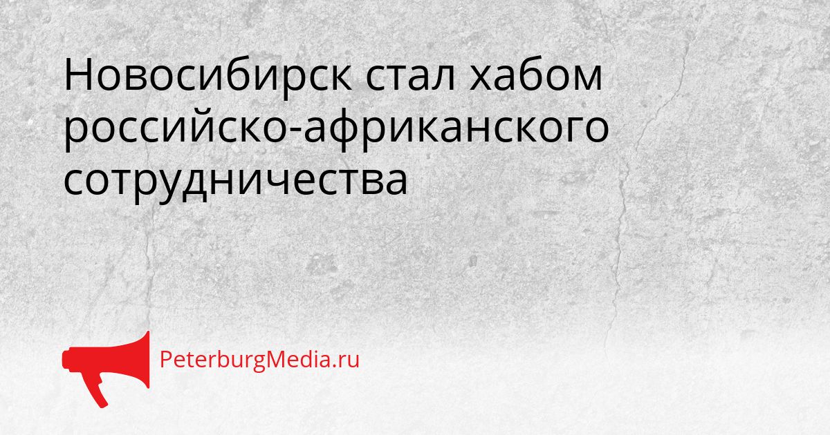 Новосибирск стал хабом российско-африканского сотрудничества