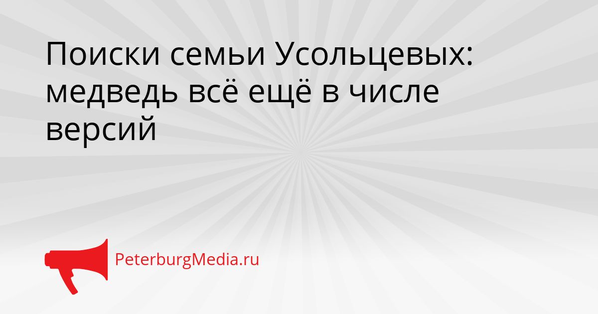 Поиски семьи Усольцевых: медведь всё ещё в числе версий