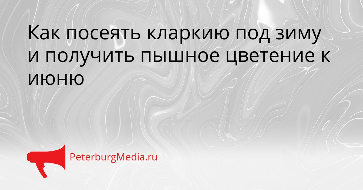 Как посеять кларкию под зиму и получить пышное цветение к июню