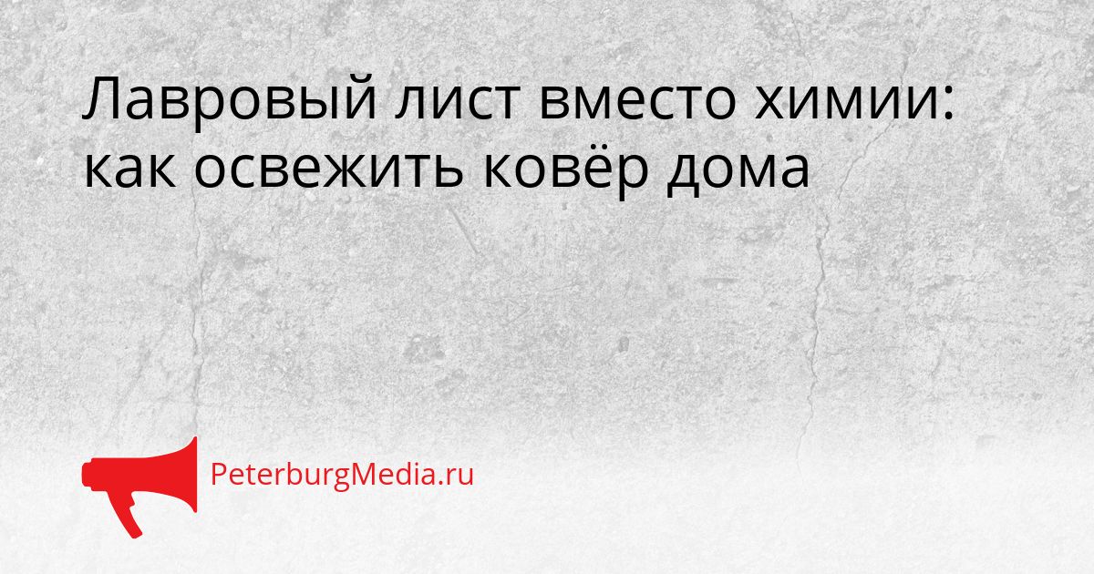 Лавровый лист вместо химии: как освежить ковёр дома