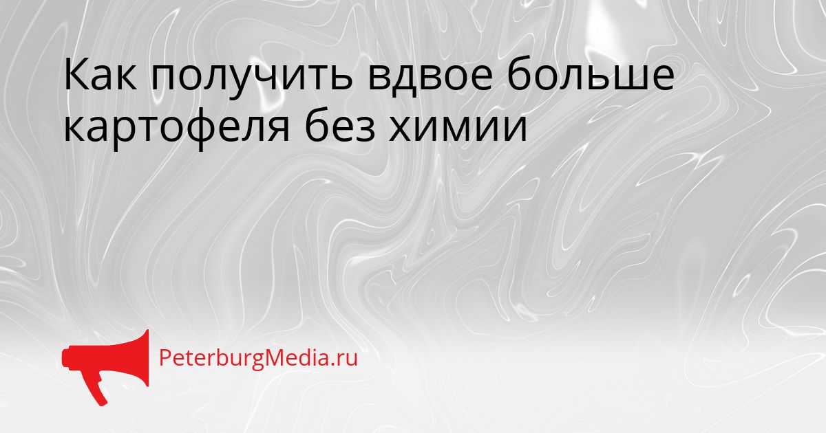 Как получить вдвое больше картофеля без химии